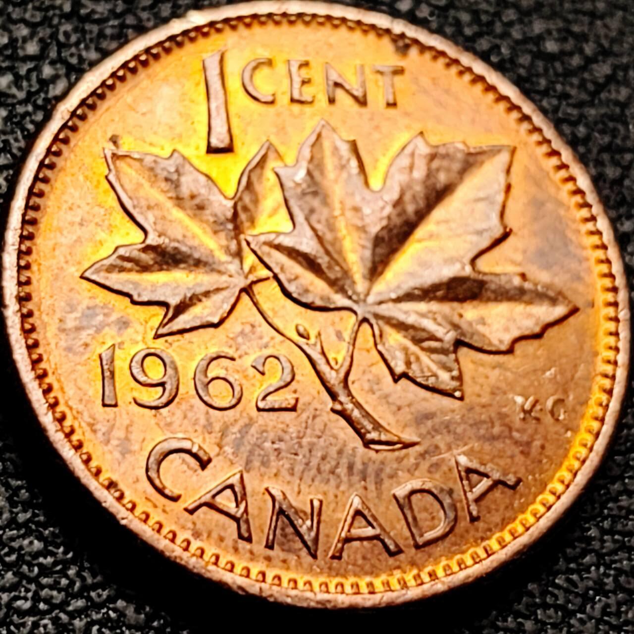 泉币菌-第207场-拍品多 请提前出价