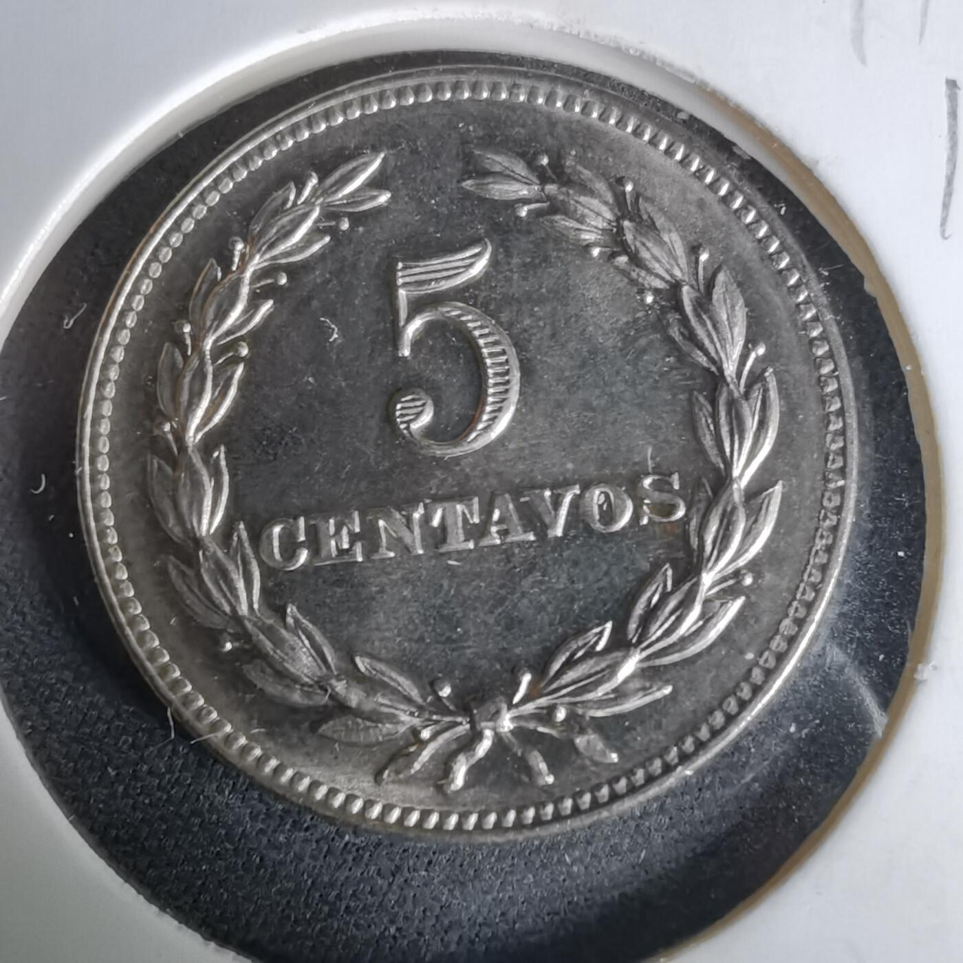 沼泽如烟--第1019场