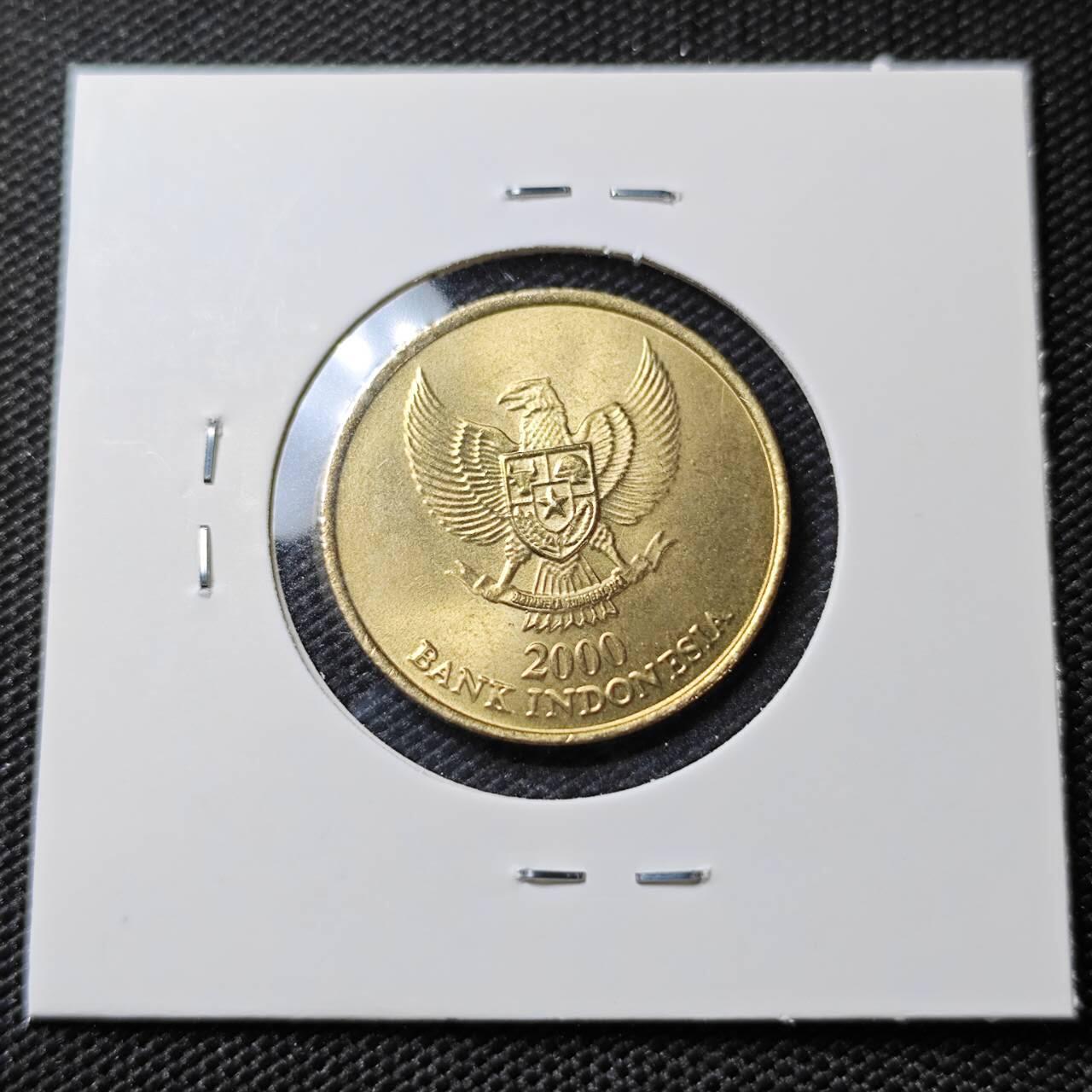 KK钱币收藏小铺   第405期 2月预留时间 周末发货