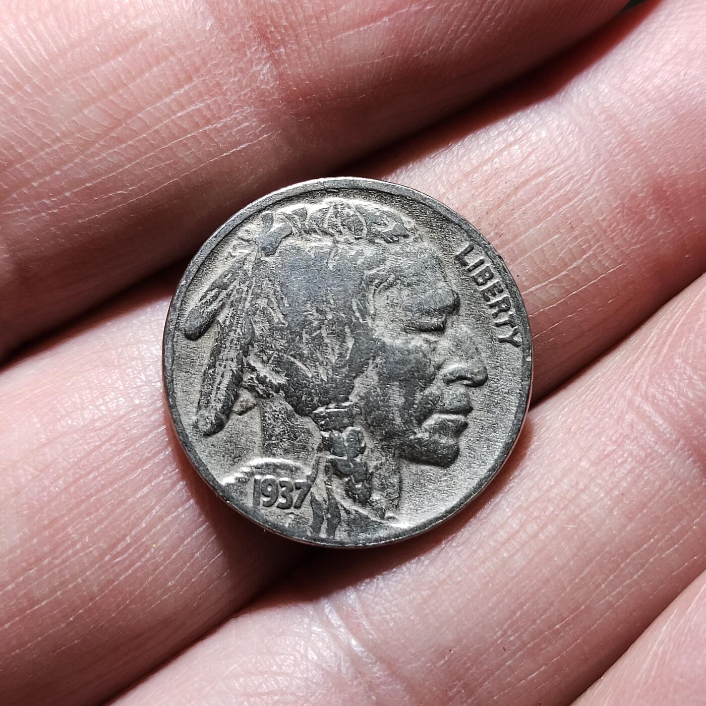 中外钱币第八场 美国印第安人野牛5美分