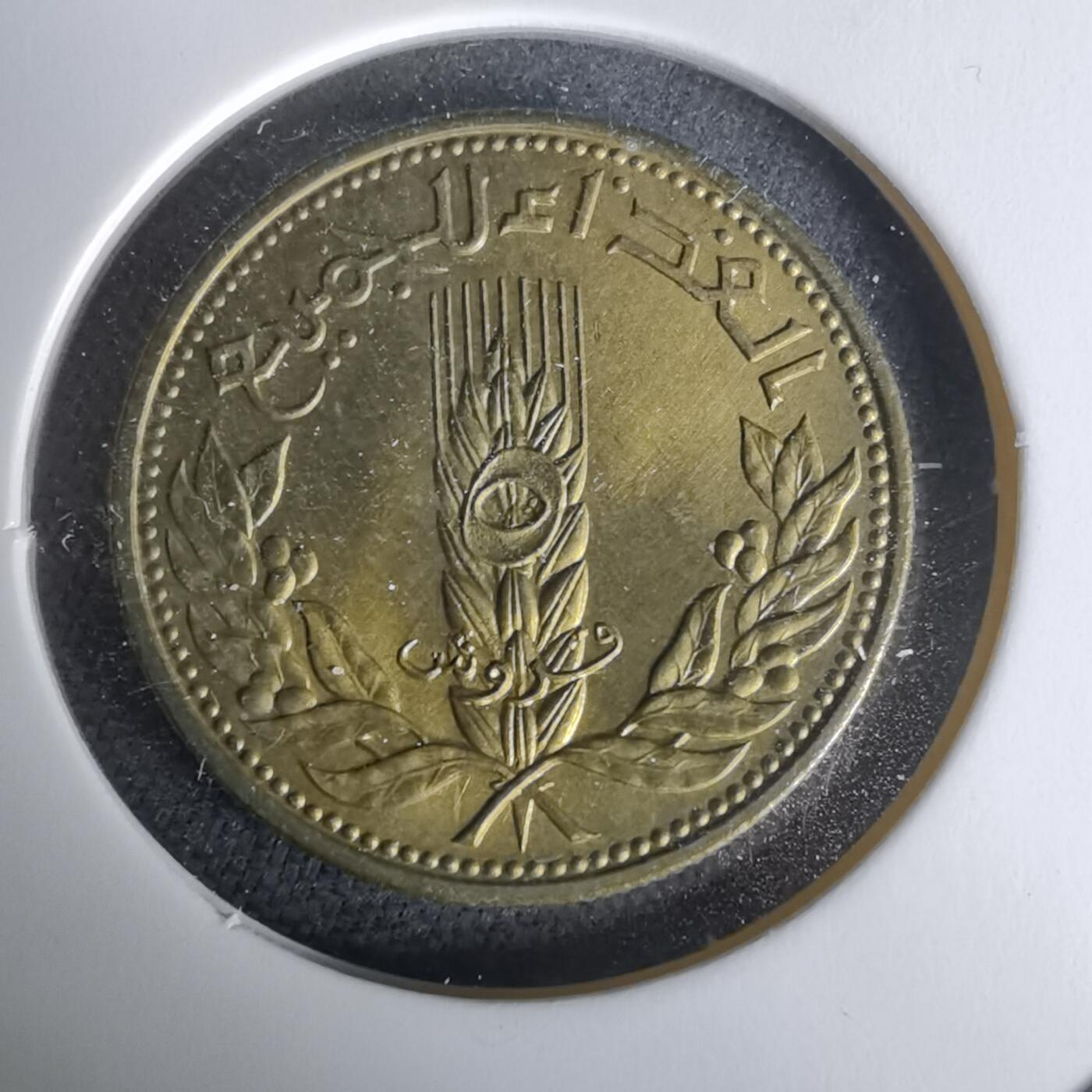 沼泽如烟--第1019场