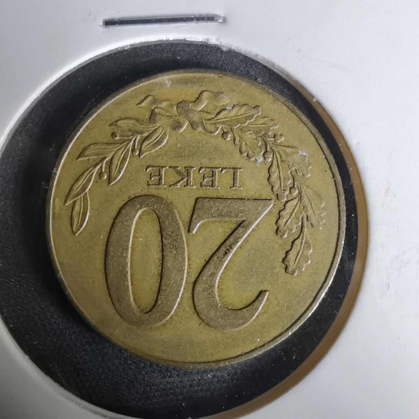 沼泽如烟--第1019场