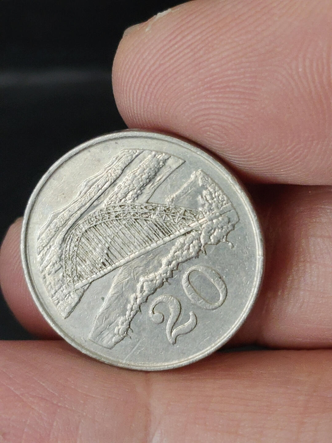 猩哥外币小铺➨【第220场】 鸟