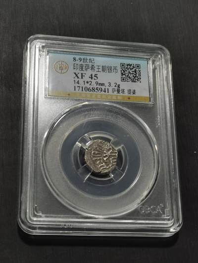 天下钱庄专场欢迎参拍 - 萨希王朝银币