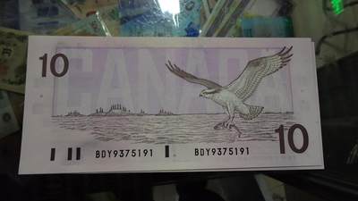 世界钱币～微拍第239期暨2026年第20期  部分尾货整理陆续低价起拍清仓 - 1989年加拿大10元鸟版 全新绝品无4尾号191