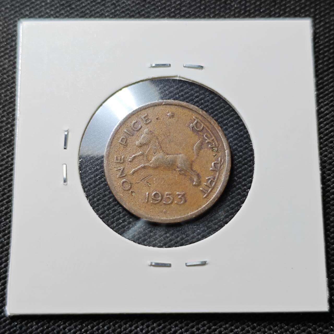 KK钱币收藏小铺   第405期 2月预留时间 周末发货