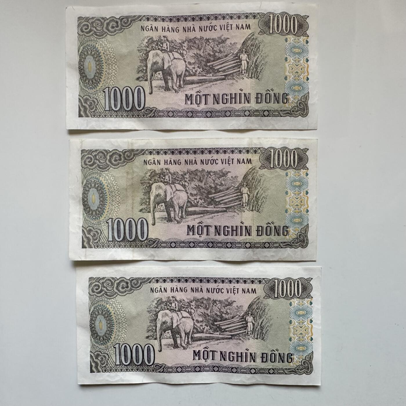 🌹外币初藏🌹🐯2026年第27场   每周二四六晚8️⃣点 接代拍 越南1000盾 豹子号狮子号 好号码3张