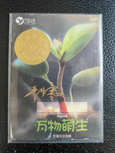 阳大大卡牌拍卖第104期（持续收拍品，周五晚上九点截拍，进群福利早知道） 【手绘卡】戴花帽的女孩-画师严生寒-艺海文化
