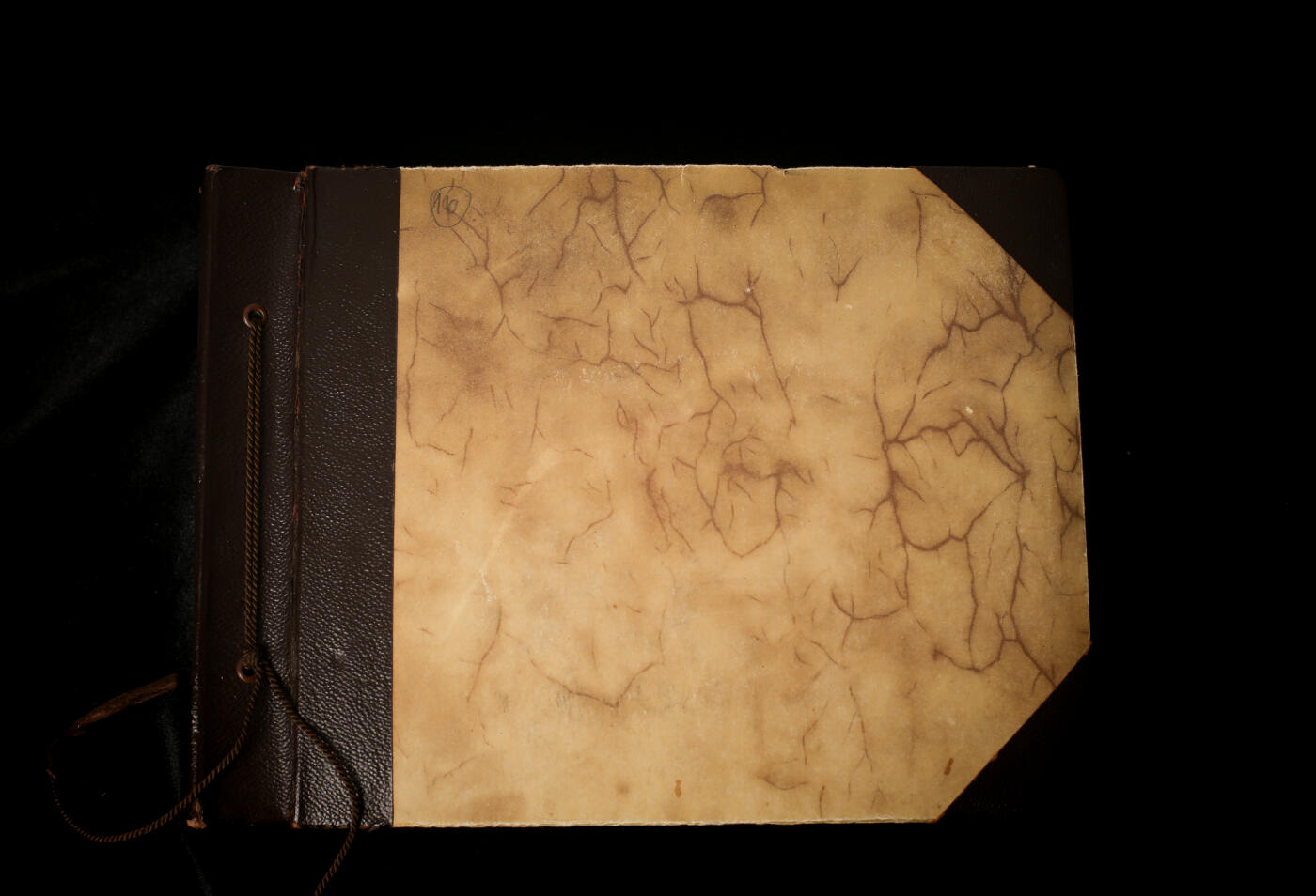 戎马世界章牌大赏第112期 德专场 属于警察中将兼党卫队旅队长（ss中将）布鲁诺-格奥尔格·耶迪克 的私人相册