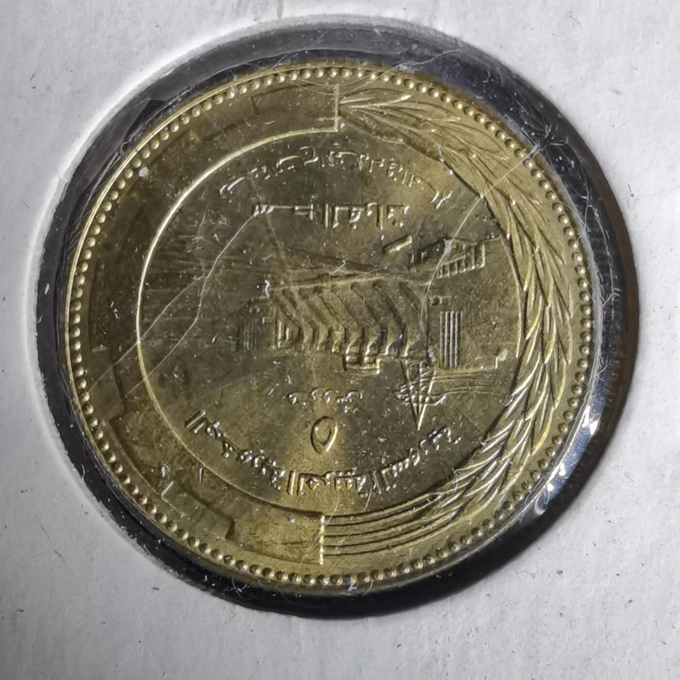 沼泽如烟--第1019场