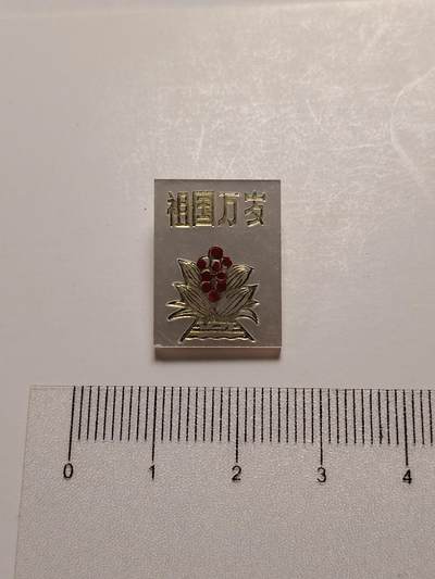 布加迪🐬～世界钱币(上海)🌾第 281 期 /  毛主席像章专拍 - 像章～祖国万岁/万年青