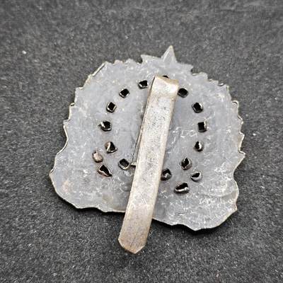 0元起拍勋章 第338期 咸鱼国勋章拍卖专场 3月15日（周日）下午6：00开始 缅甸徽章