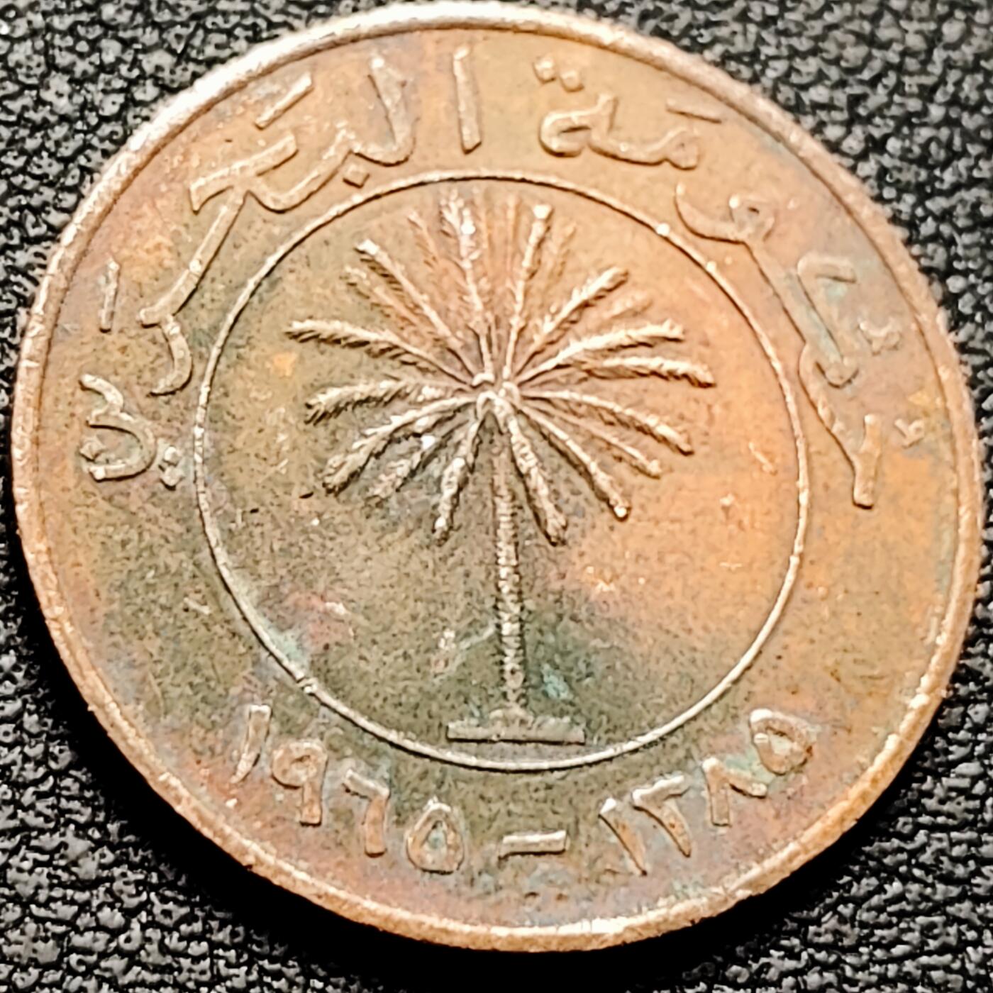 泉币菌-第207场-拍品多 请提前出价