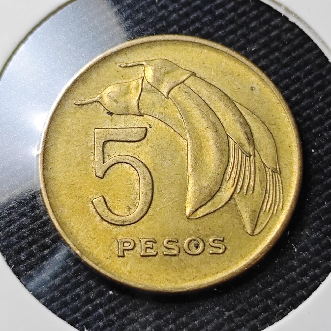 KK钱币收藏小铺   第405期 2月预留时间 周末发货