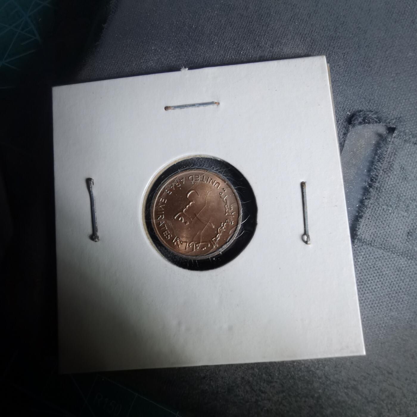 沼泽如烟--第1019场