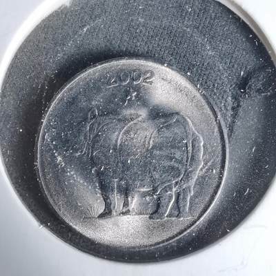 沼泽如烟--第1019场 - 印度2002年25派沙