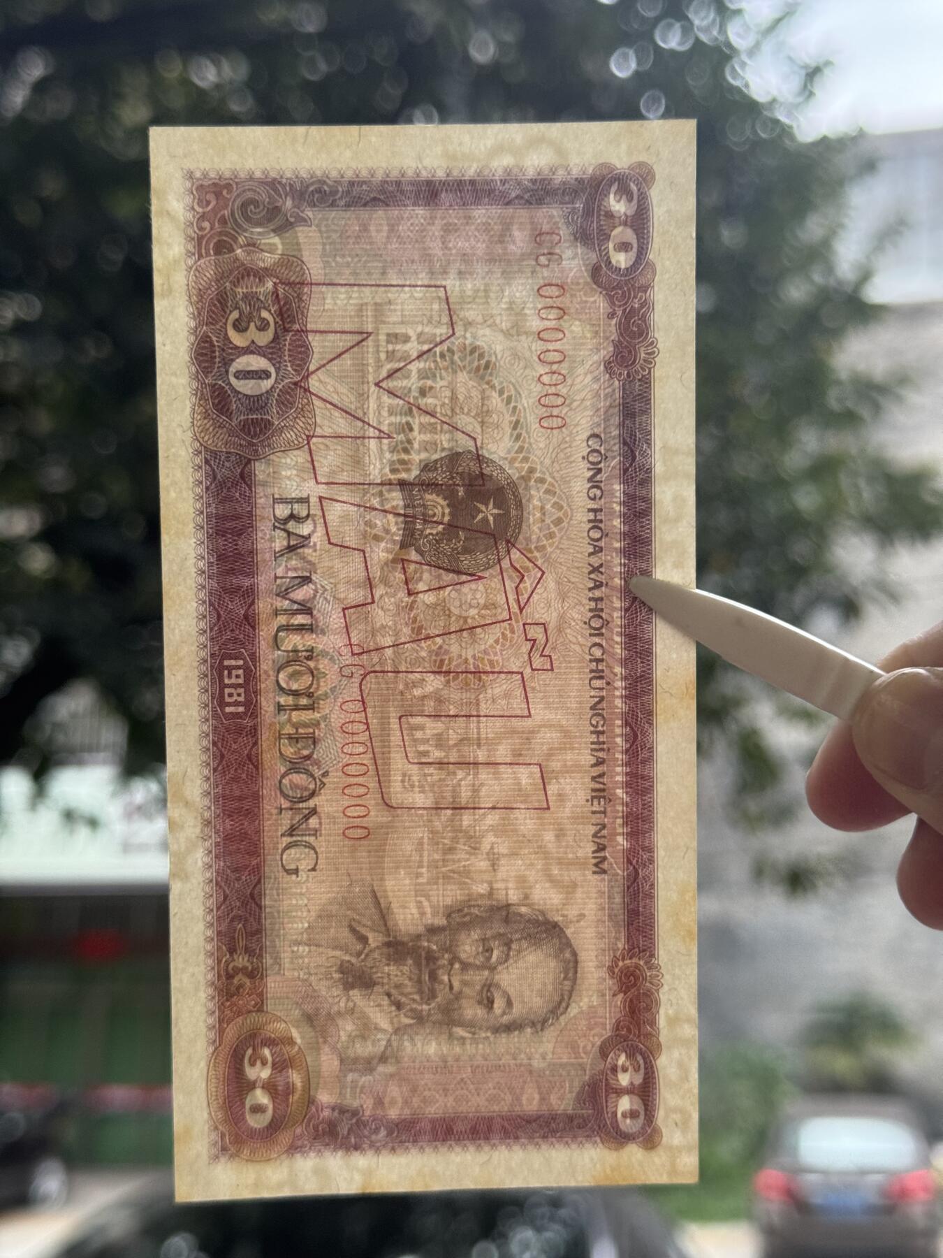 桂P钱币文化工作室拍卖第四十八期 越南1981年30盾票样，少见品种，全新UNC，有黄斑，会洗的可以博高分