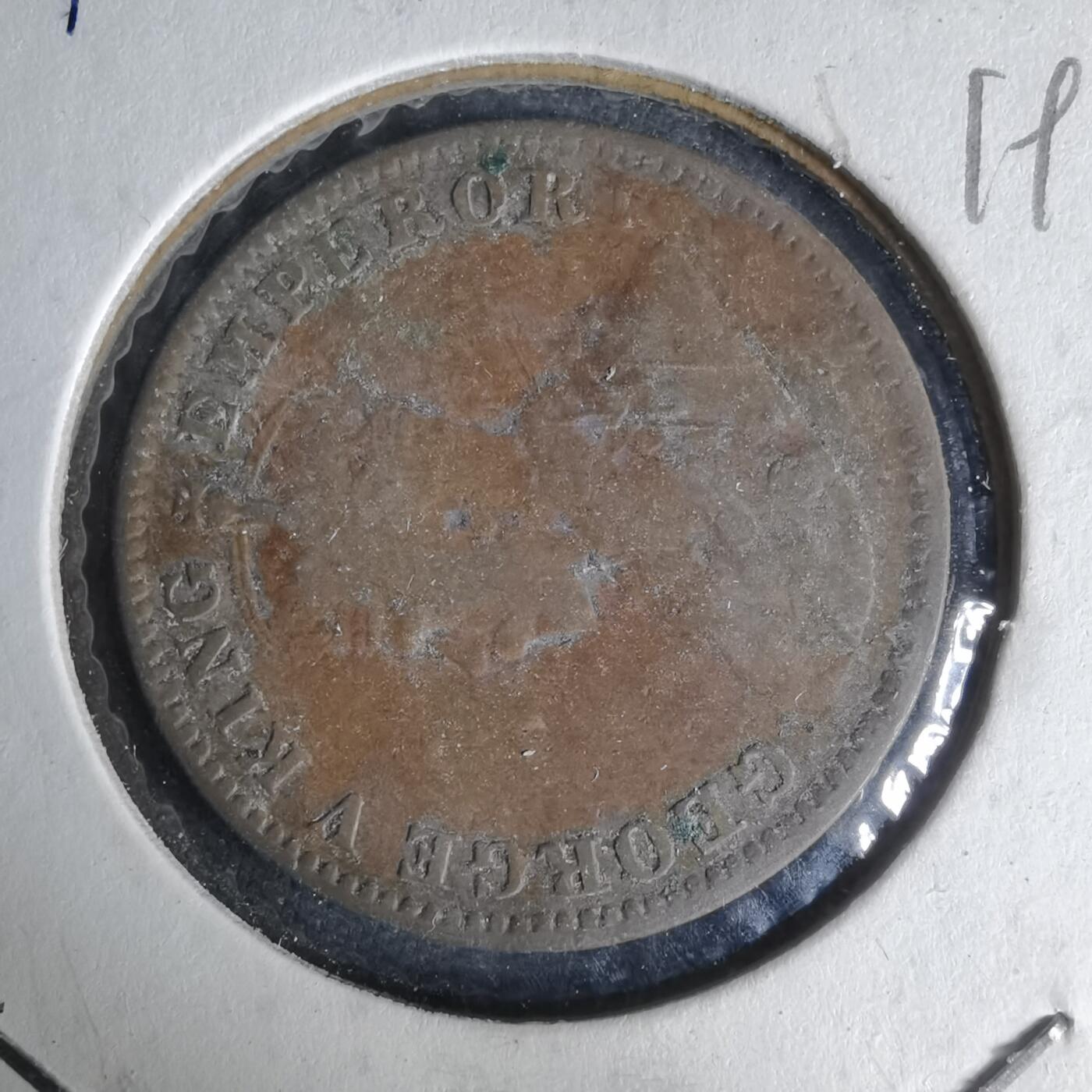 沼泽如烟--第1019场