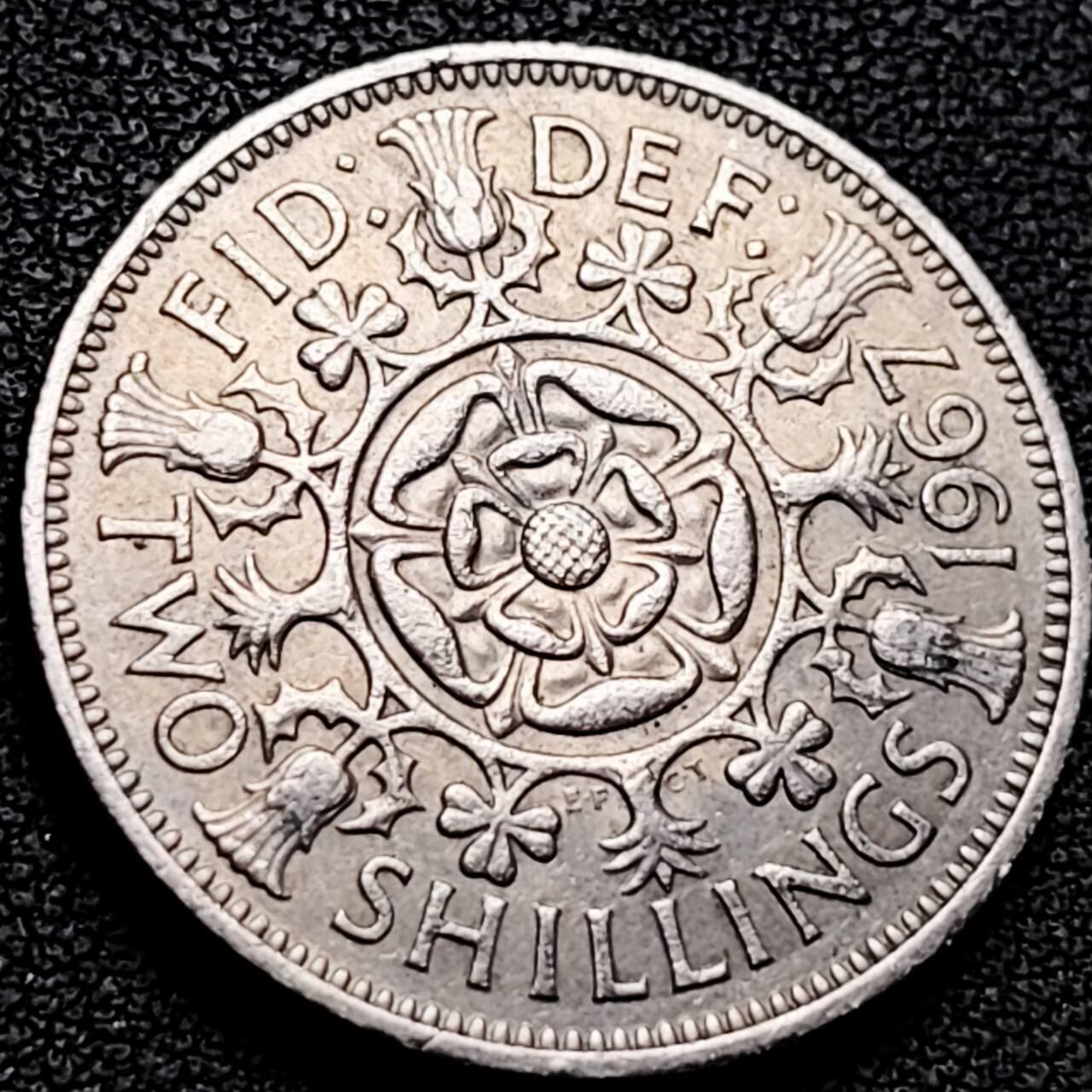 泉币菌-第207场-拍品多 请提前出价