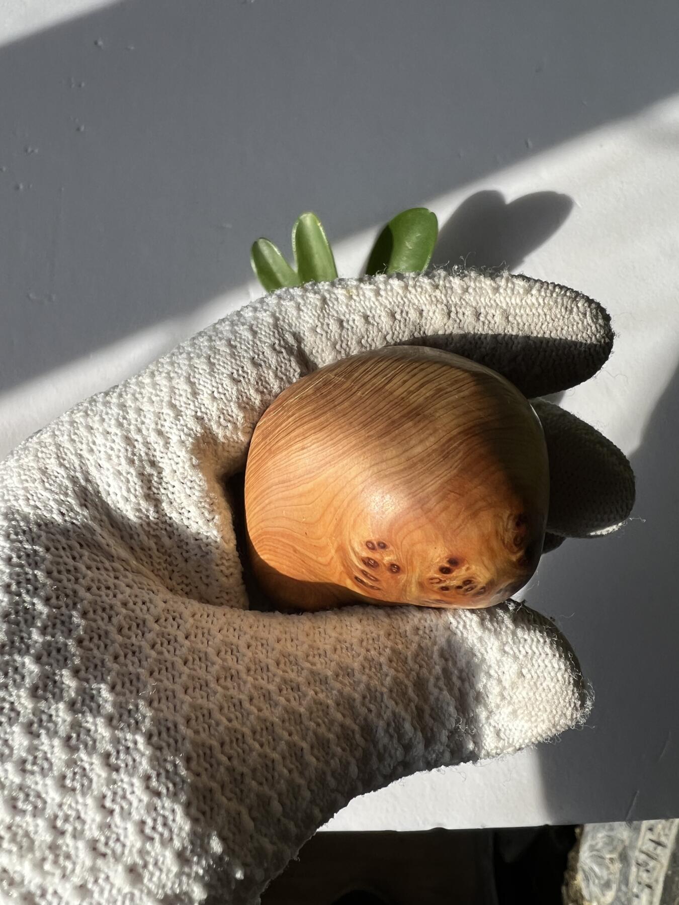 零元拍：崖柏瘤花随型手把件，十多年前的存货了，陈化的非常好，香味扑鼻，油性极大。