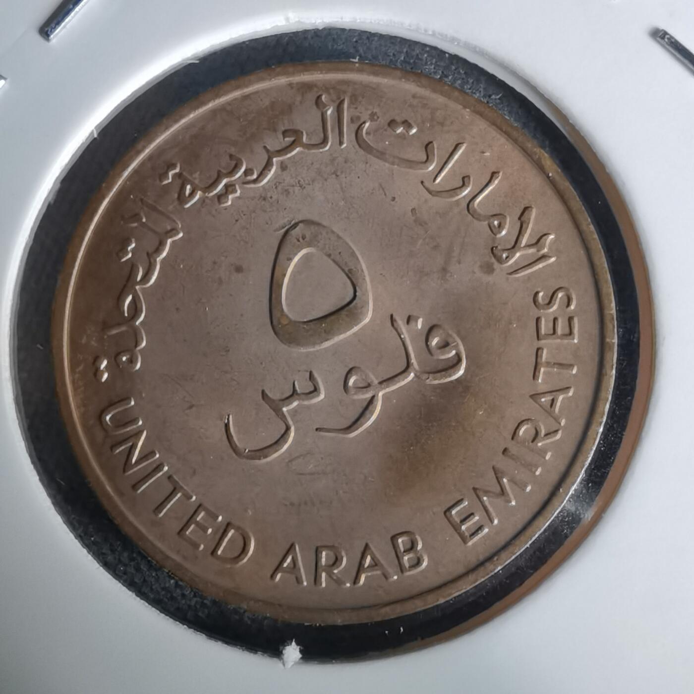 沼泽如烟--第1019场