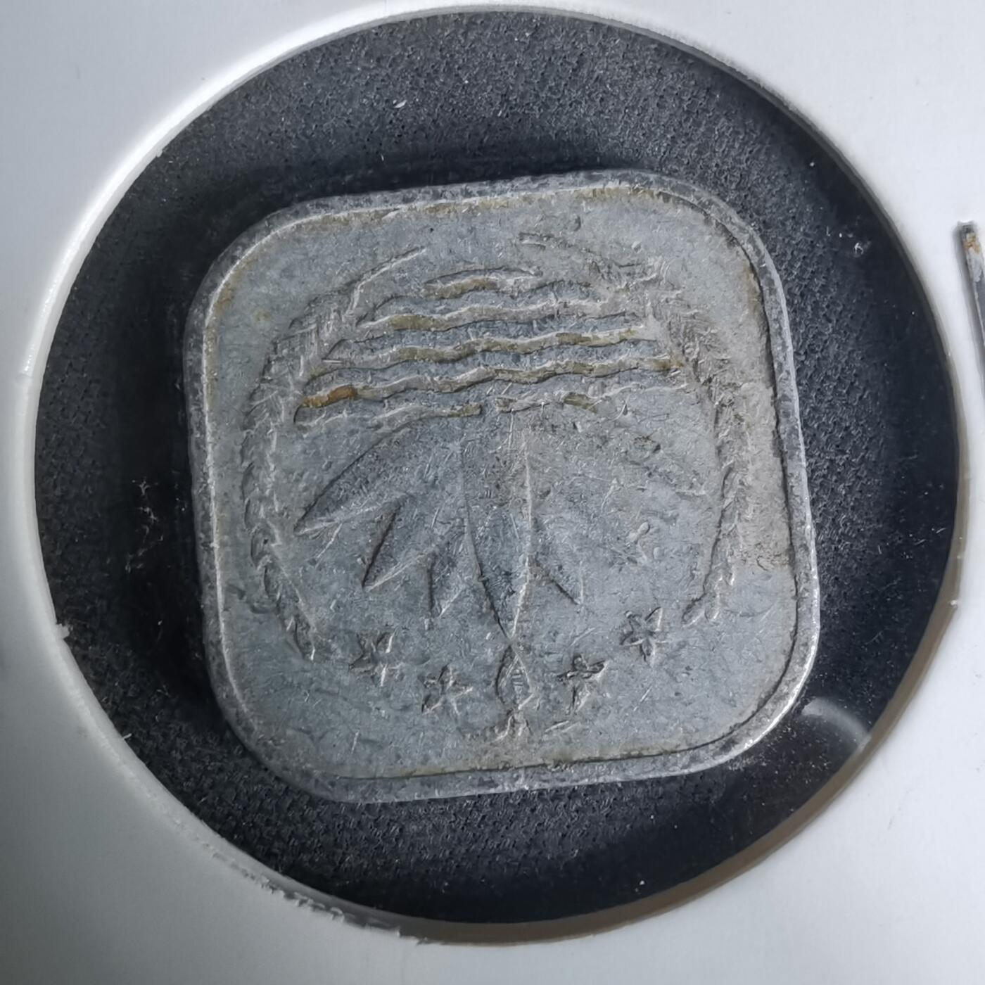 沼泽如烟--第1019场