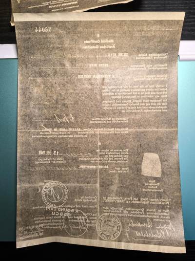 戎马世界章牌大赏第112期 德专场 - 威廉·布伦德克中尉 的由1945年美国第七集团军开具的解除军籍证书的复写纸底稿