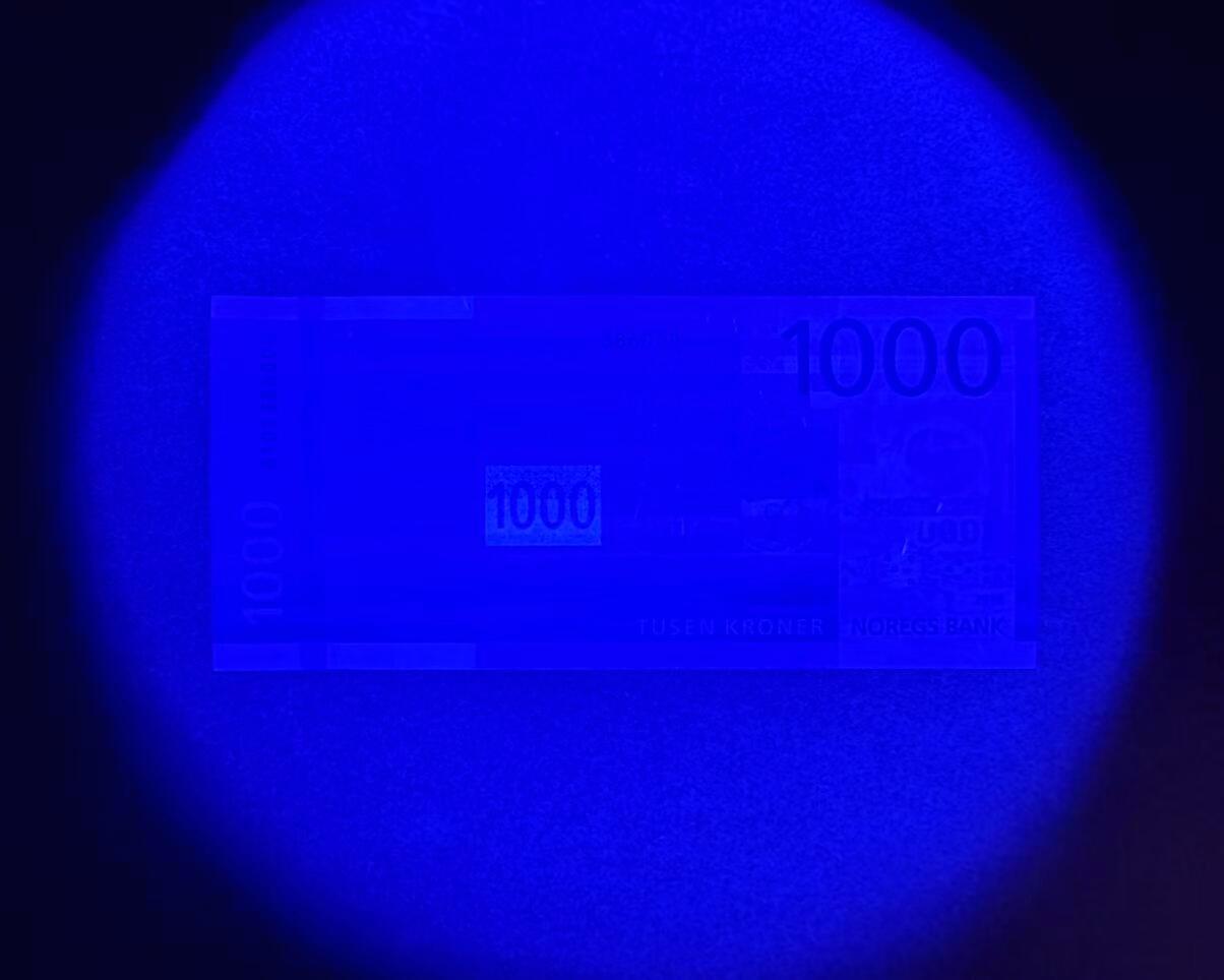 【Blue Auction】世界纸币精拍第794期——18级TOP拍卖/信誉/品质/专业/高效💫 【无47豹子号】挪威 2019年1000克朗 全新UNC