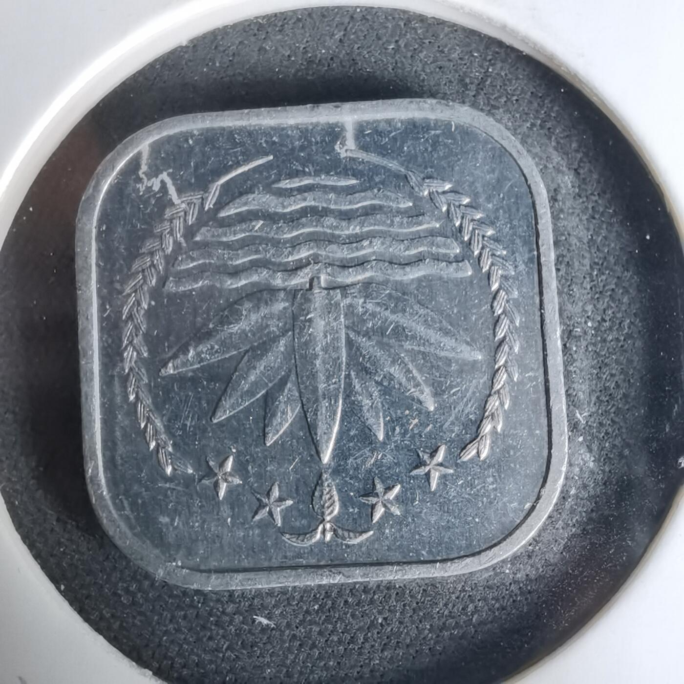 沼泽如烟--第1019场