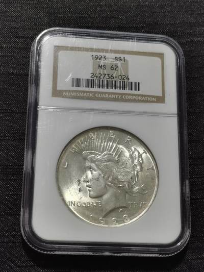 天下钱庄专场欢迎参拍 - NGC MS62美国和平鸽一美元银币