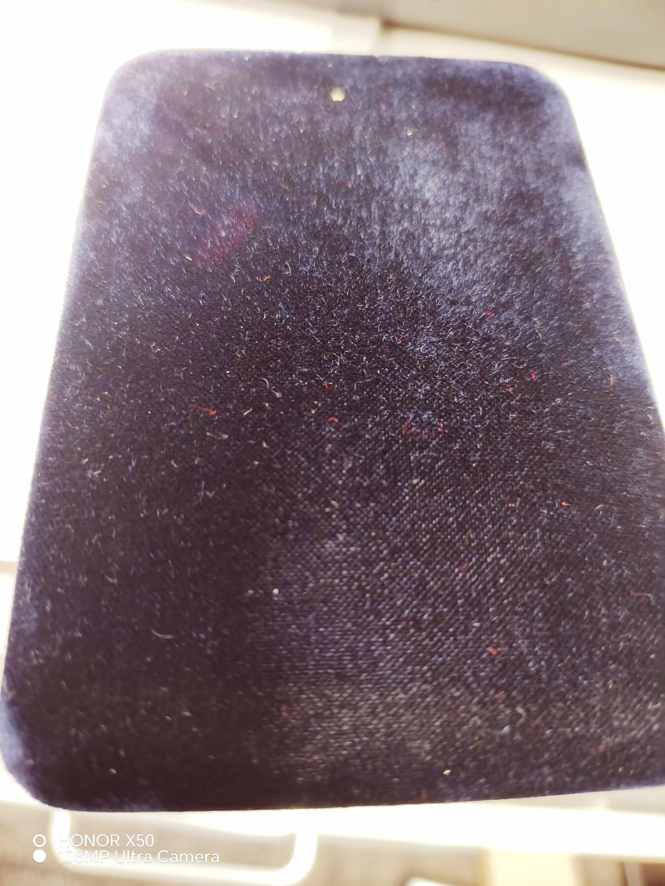 城南花开🌷88场