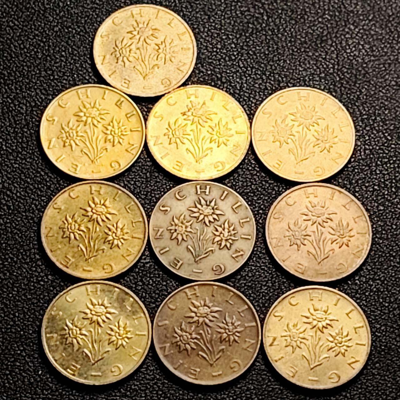 泉币菌-第207场-拍品多 请提前出价