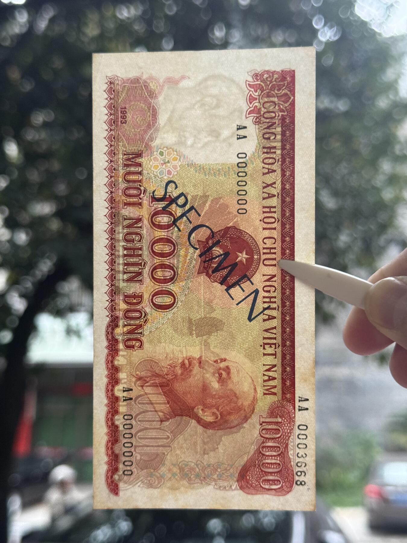 桂P钱币文化工作室拍卖第四十八期 越南1993年版1万盾票样，有黄斑