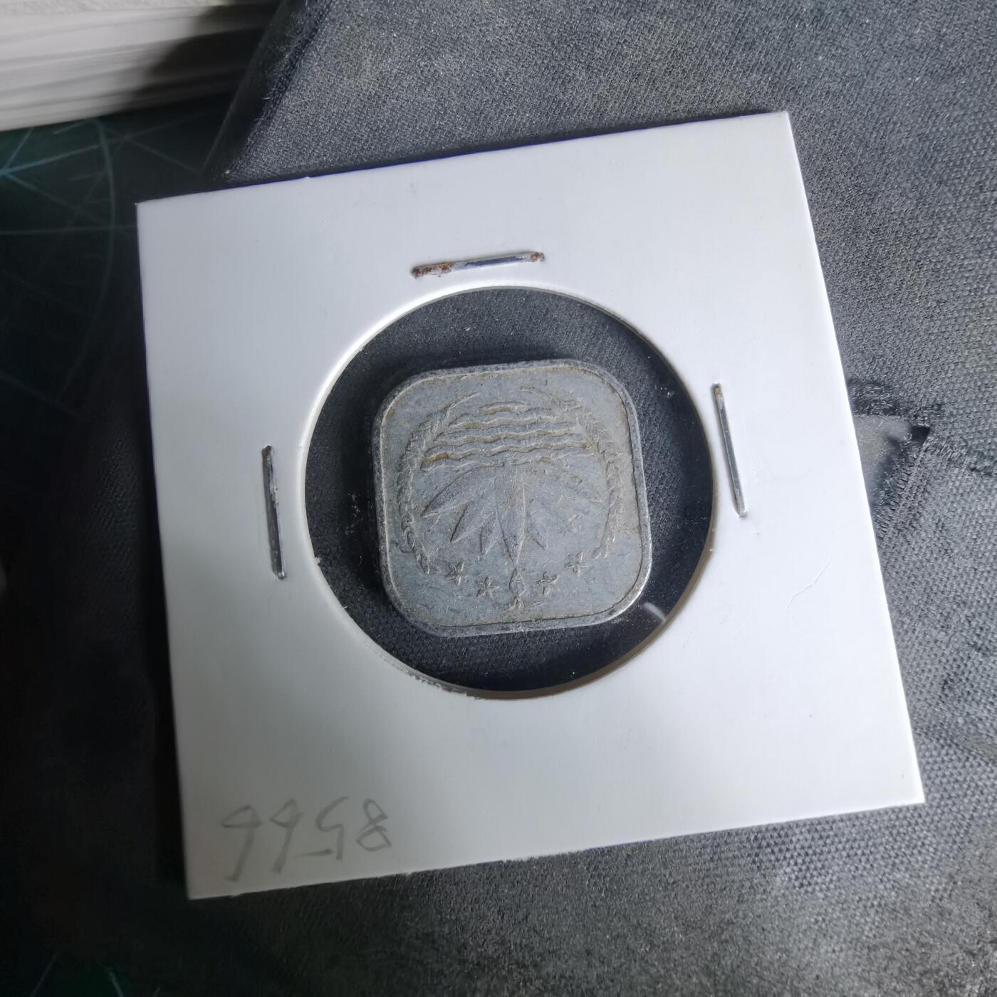 沼泽如烟--第1019场