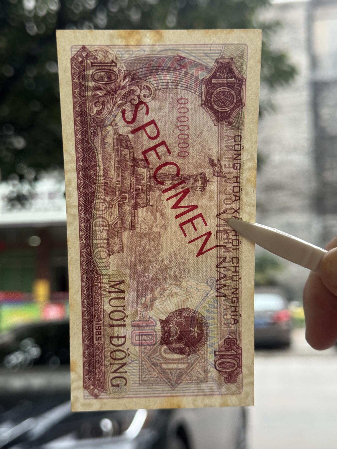 桂P钱币文化工作室拍卖第四十八期 越南1985年10盾票样，全新UNC，轻微黄斑