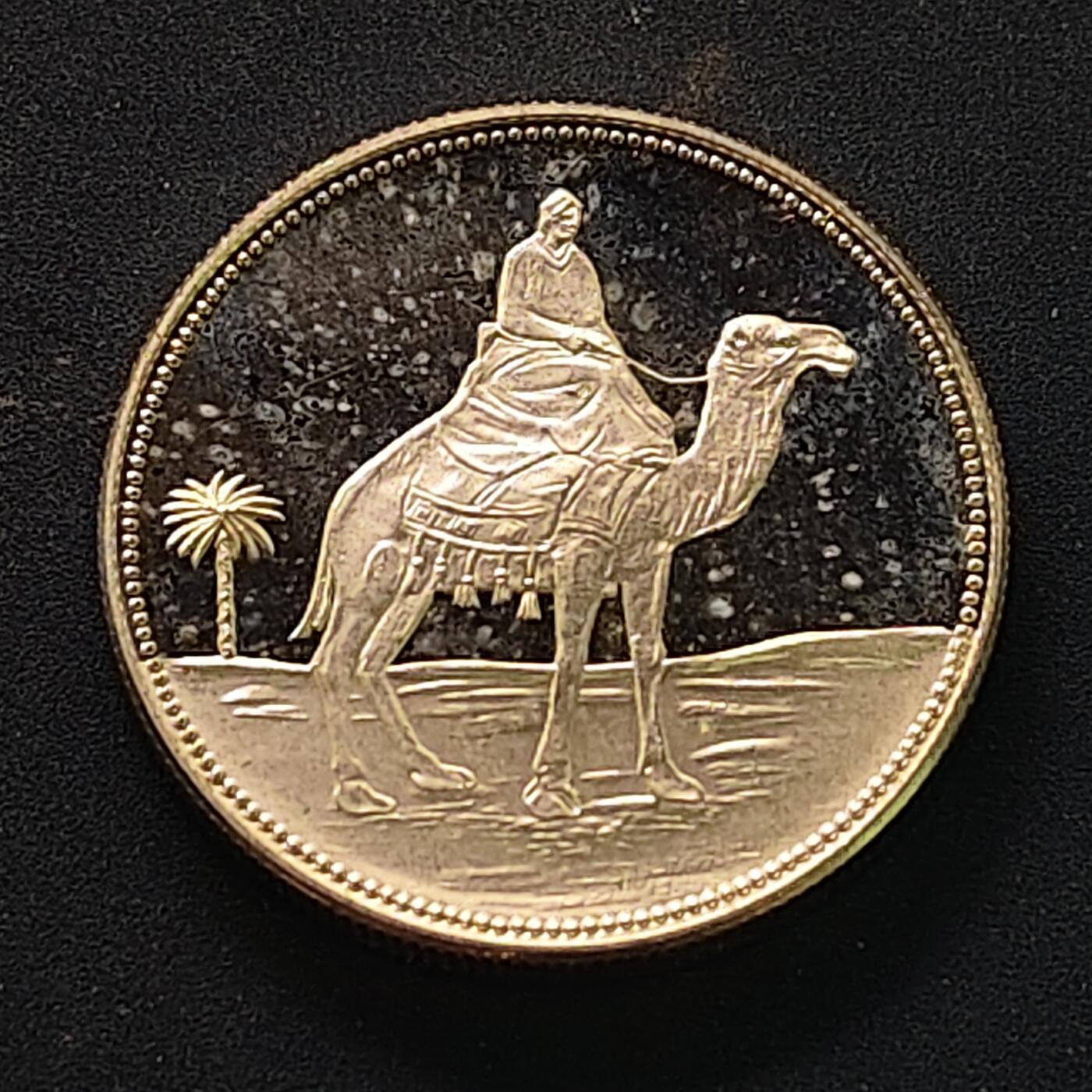 【全场包邮】纯粹捡漏拍511场 【少见】也门1969年1里亚尔骆驼骑士精制纪念银币【26毫米12克】-量3200