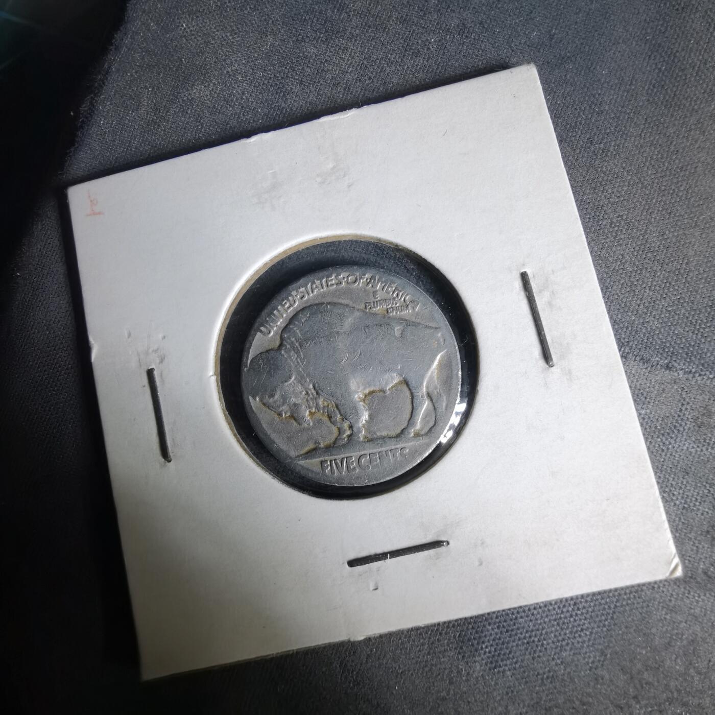 沼泽如烟--第1019场 美国野牛五分