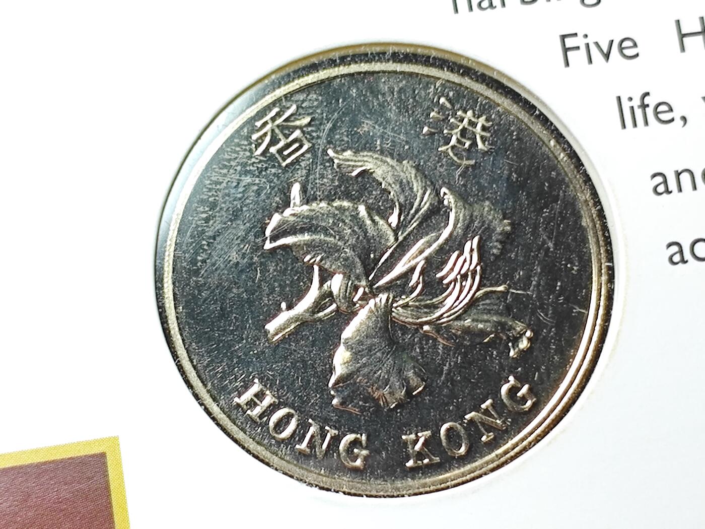 KK钱币收藏小铺   套币专场 2月预留时间 周末发货  香港5元纪念币卡册