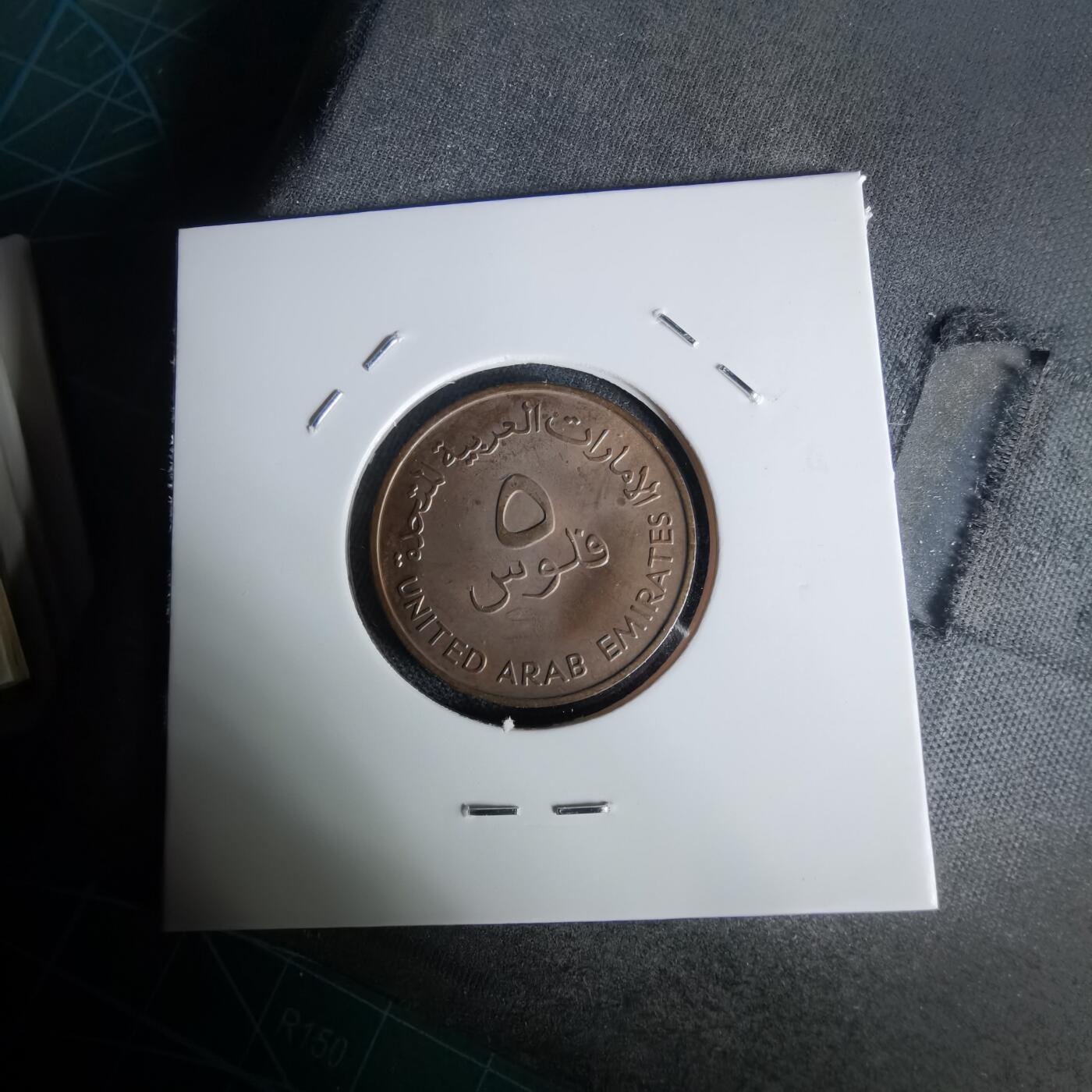 沼泽如烟--第1019场