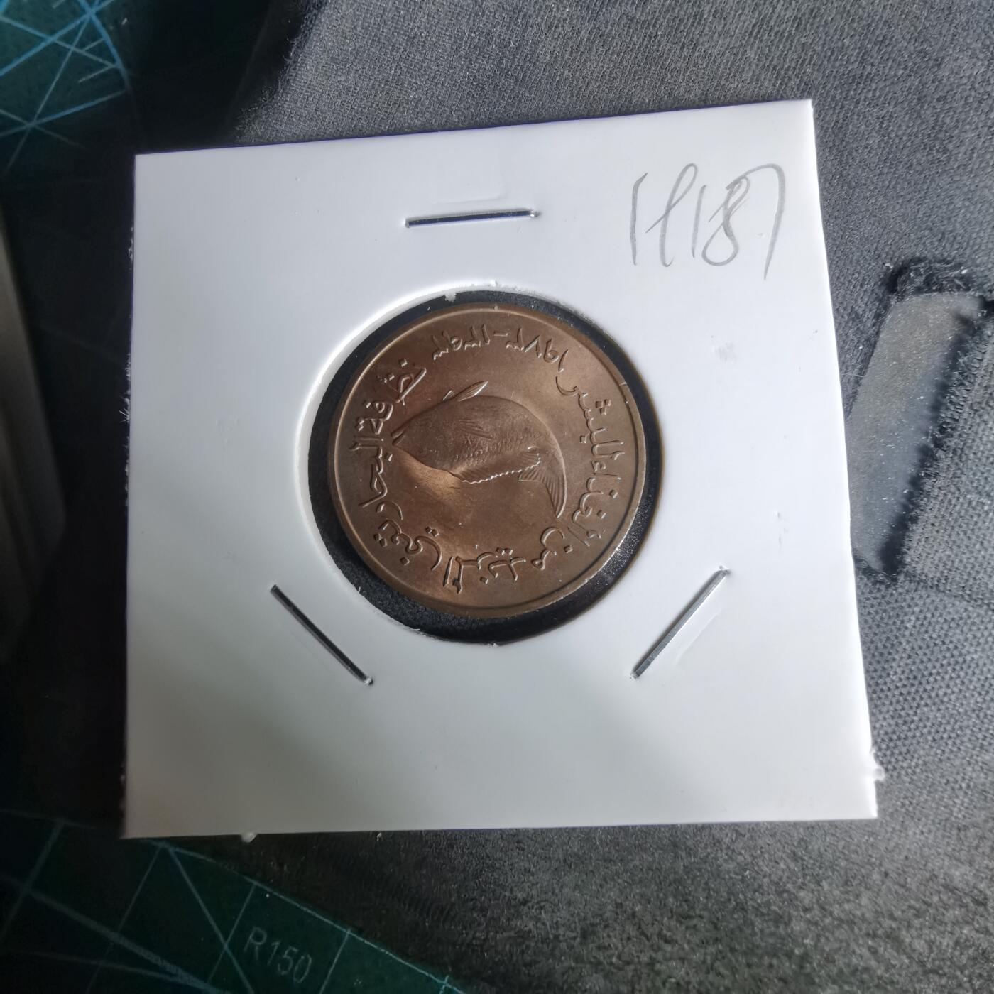 沼泽如烟--第1019场