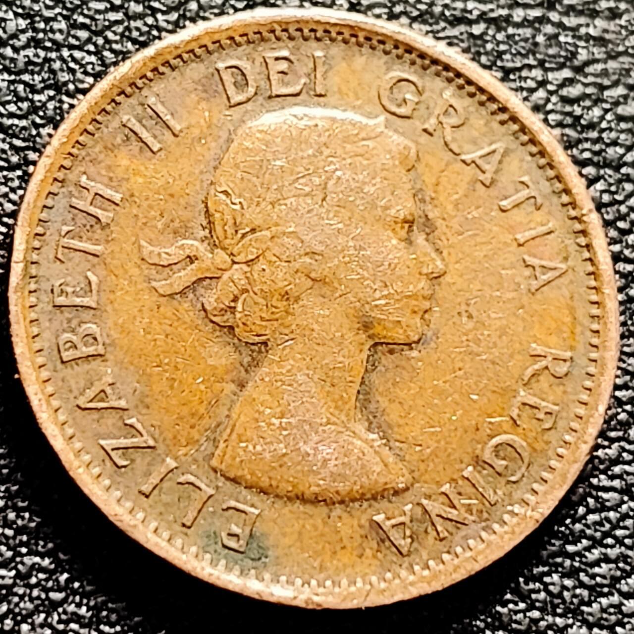 泉币菌-第207场-拍品多 请提前出价