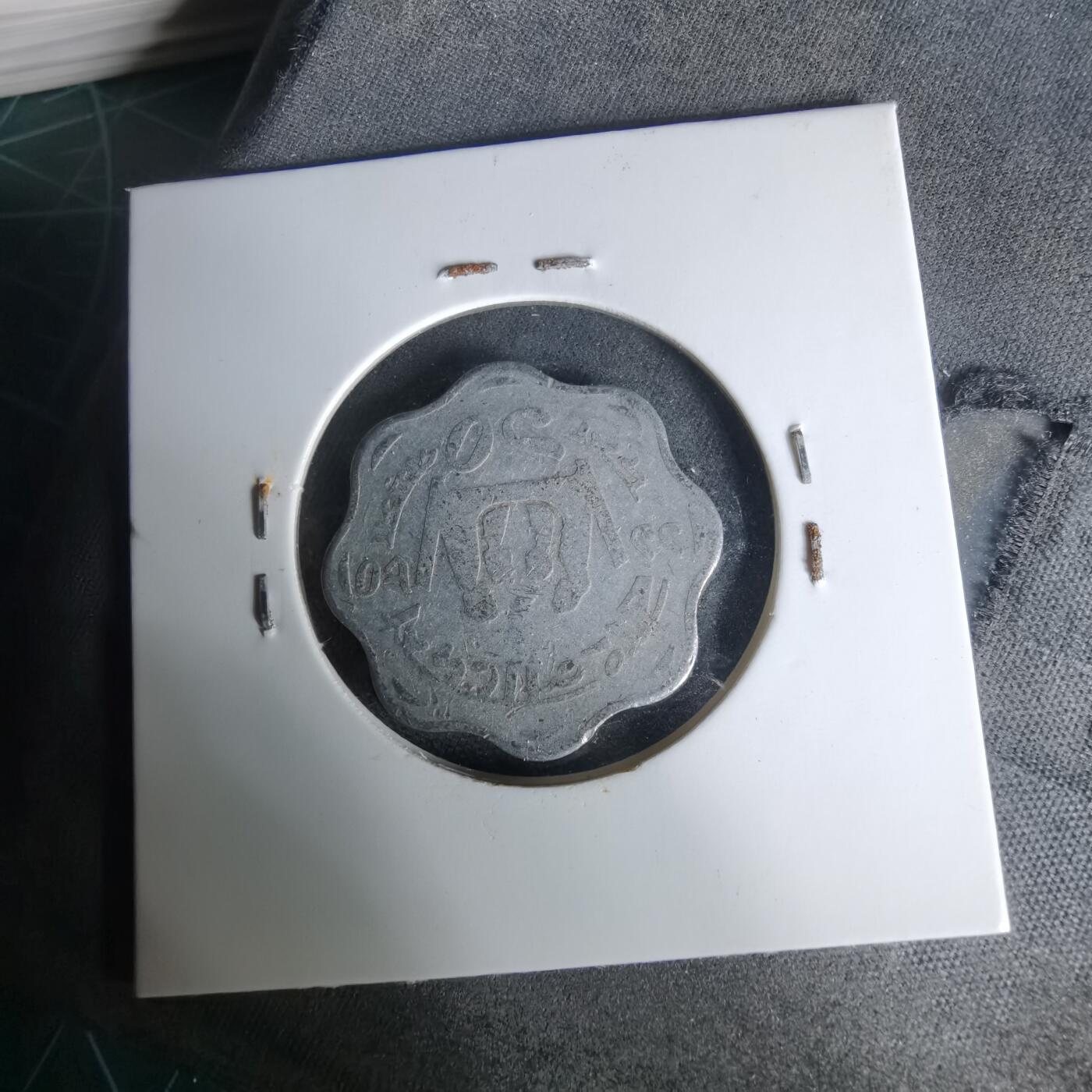 沼泽如烟--第1019场