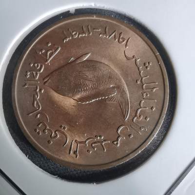 沼泽如烟--第1019场 - 阿联酋