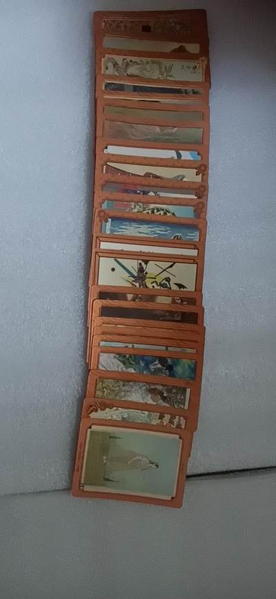 卡游专场  不寄存 - 卡游 波士顿博物馆 SR 一套 23张