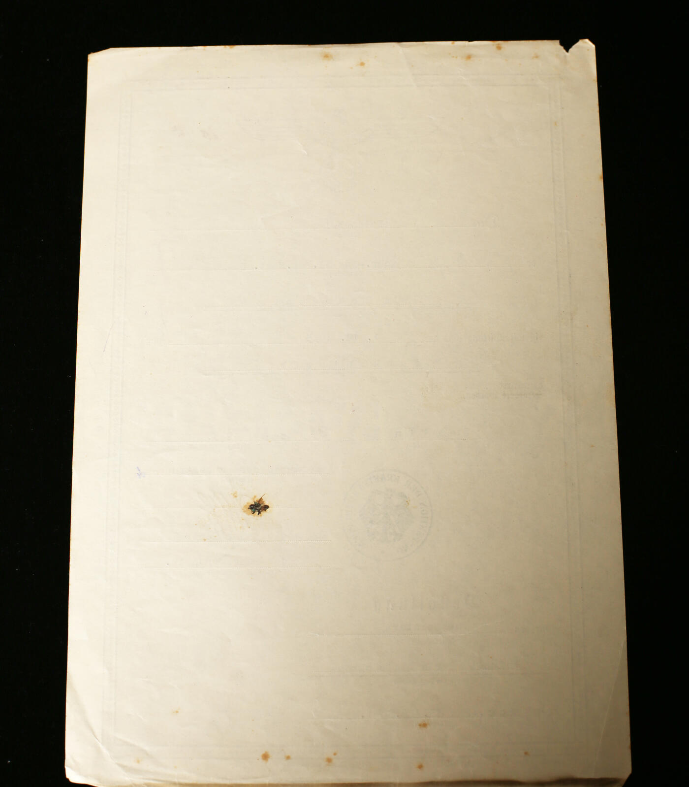 戎马世界章牌大赏第112期 德专场 威廉·布伦德克中尉 的无线电军士长晋级证书  由当时装甲兵部队的总指挥官 奥斯瓦尔德·卢茨上将亲笔签名