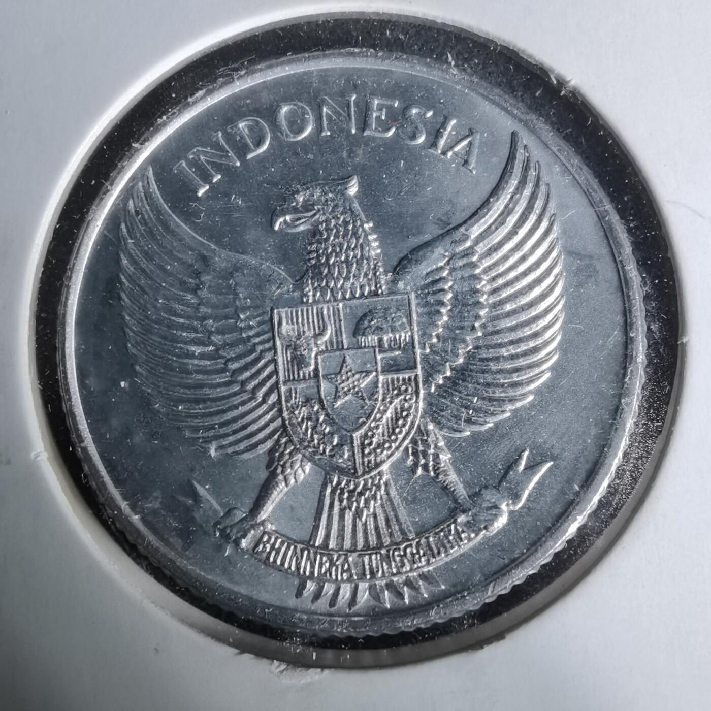 沼泽如烟--第1019场 印度尼西亚1955年25分