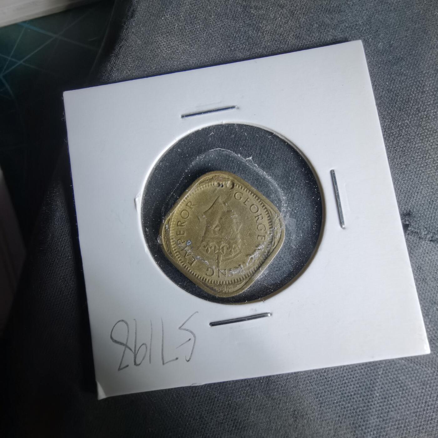 沼泽如烟--第1019场