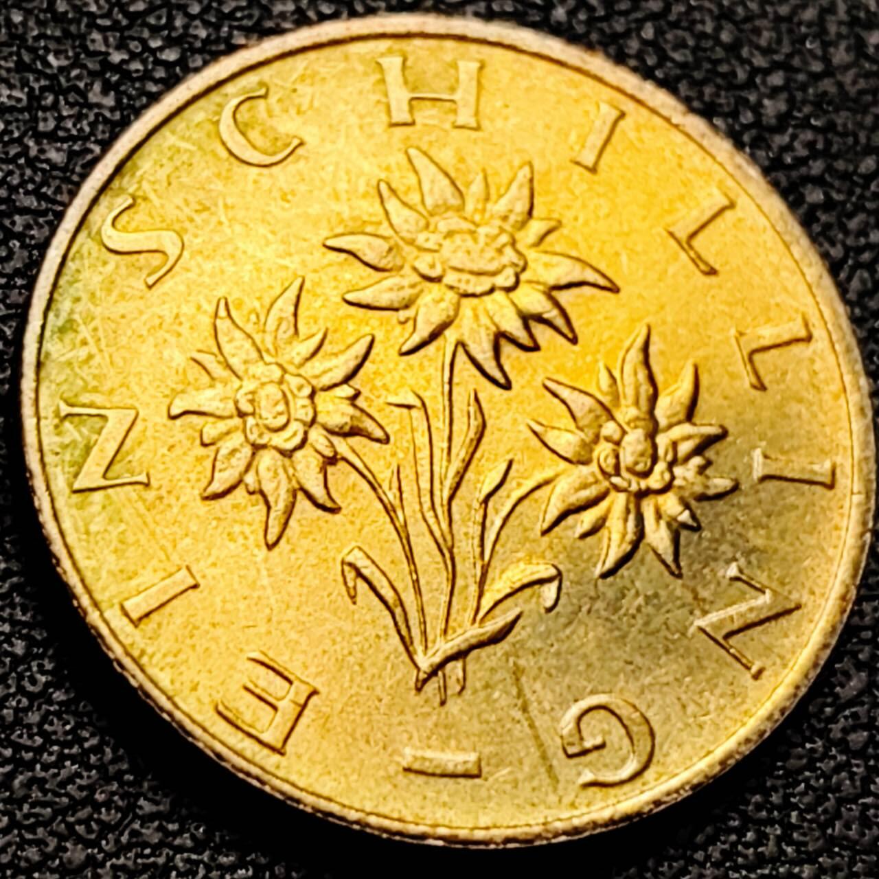 泉币菌-第207场-拍品多 请提前出价