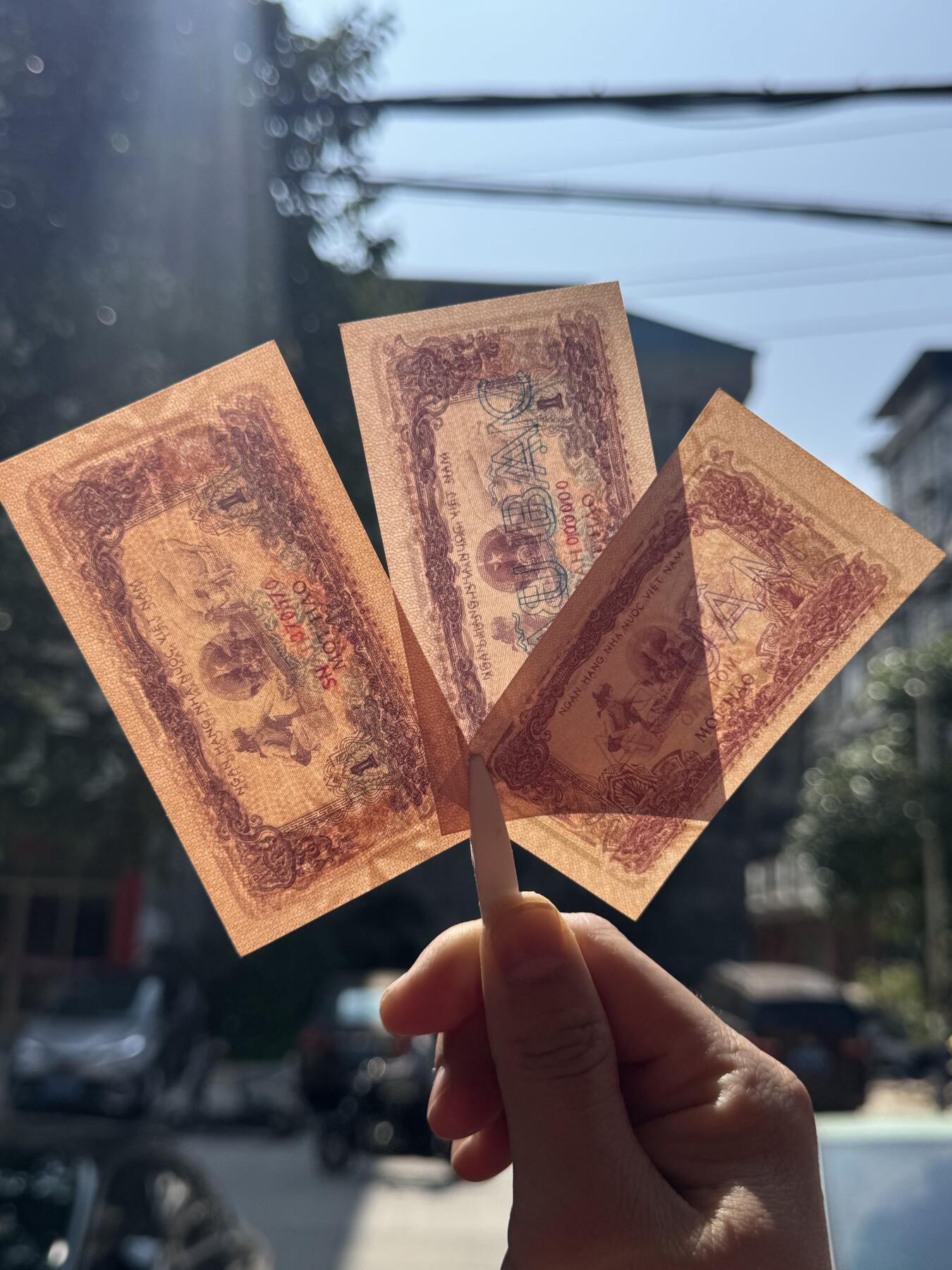 桂P钱币文化工作室拍卖第四十八期 越南1972年喂猪1毫三张不同，全新UNC，两张票样一大一小加一张实票，收藏一步到位