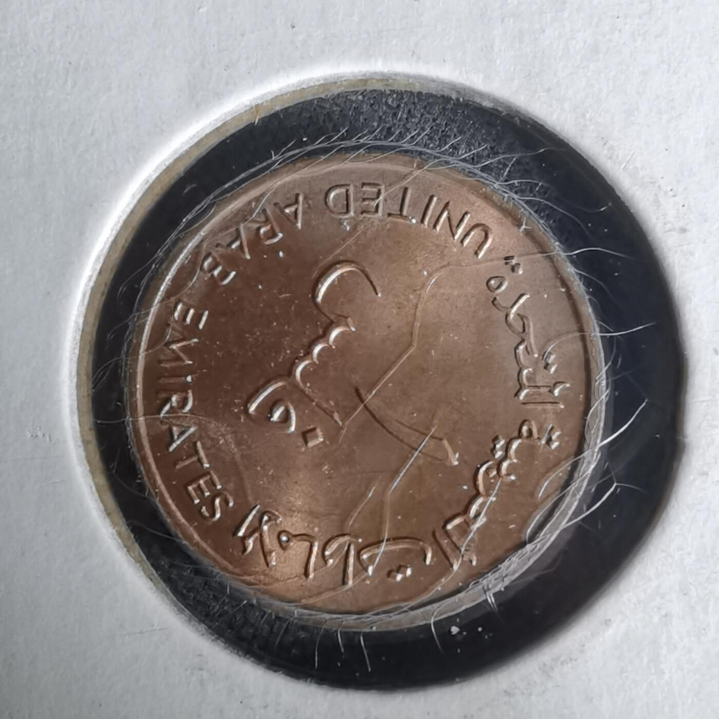 沼泽如烟--第1019场